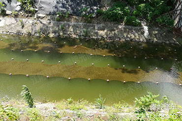 硬质岸坡河道消除黑臭-江苏省常州市长沟河