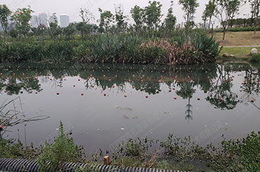 自然河道消除黑臭-安徽省铜陵市秀水河翠湖二路段