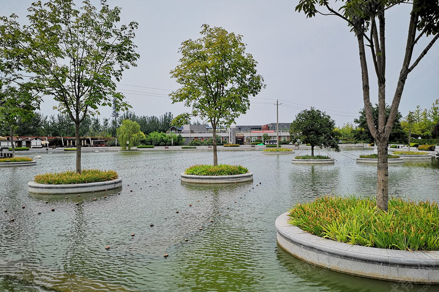 景观水体水质提升-陕西省西安市沣滨水镇生态景区公园湖