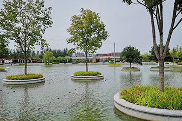 景观水体水质提升-陕西省西安市沣滨水镇生态景区公园湖