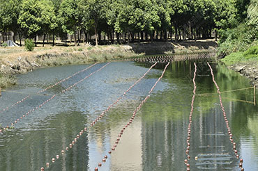 截污河道水质提升-江苏省昆山市九里泾